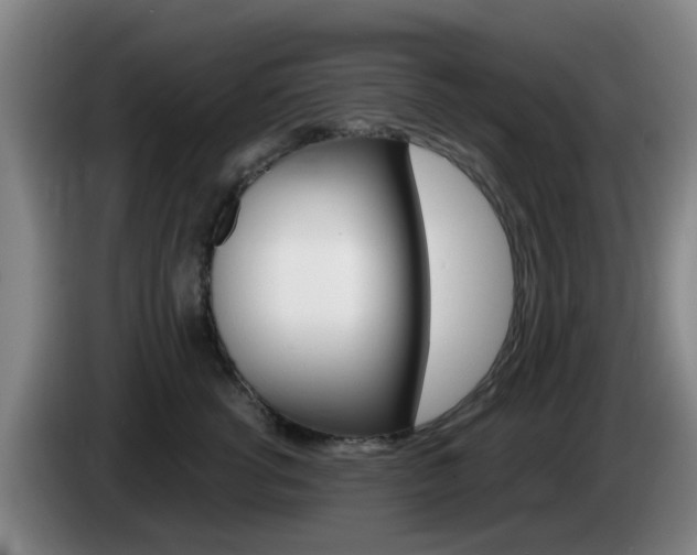 X0000085320762200703091115
