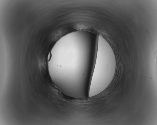 X0000085320763200703091115