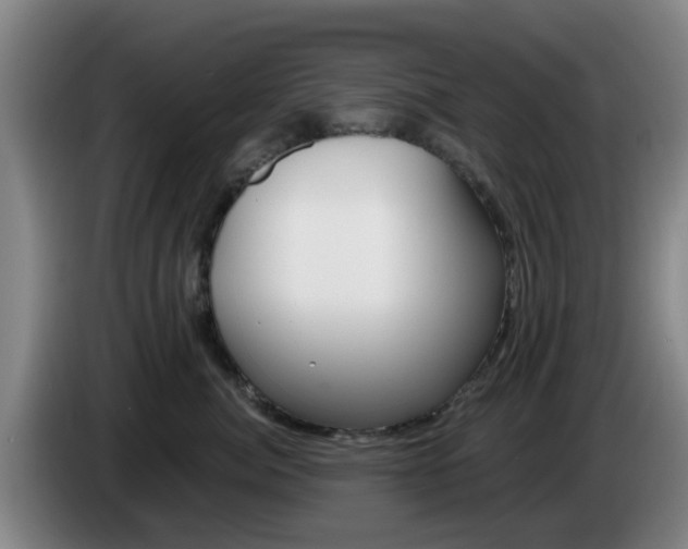 X0000085320764200703091115