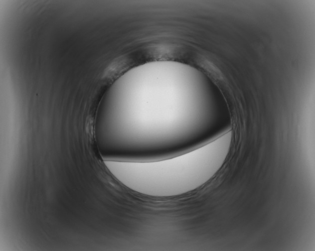 X0000085320766200703091115
