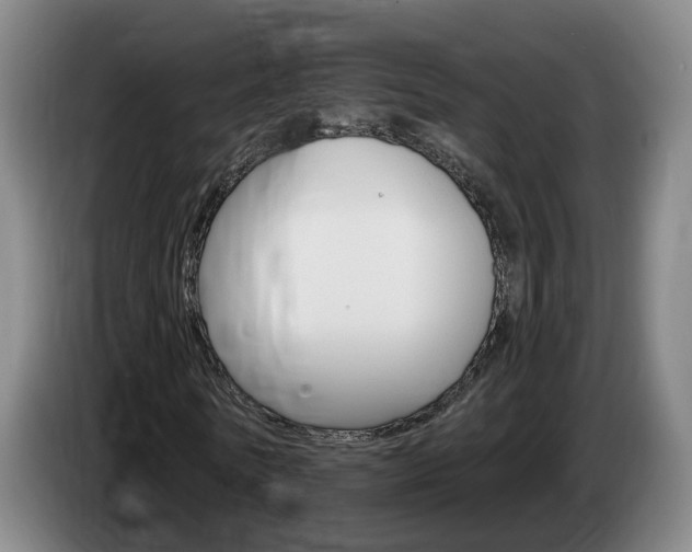 X0000085320770200703091114