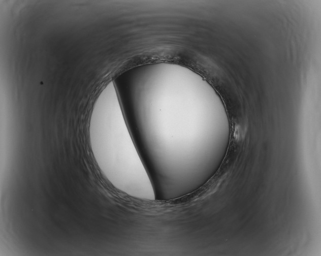 X0000085320771200703091114