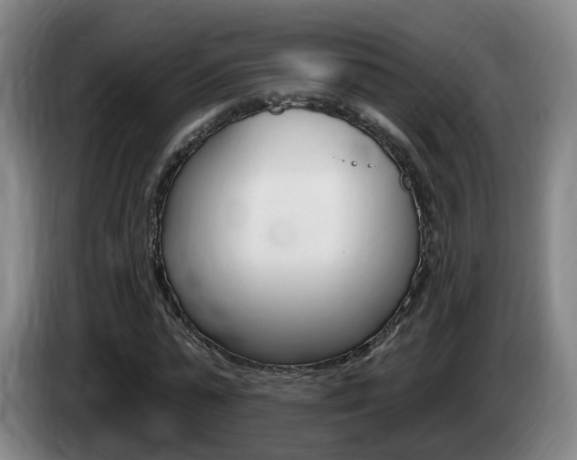 X0000085320775200703091114