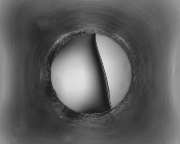 X0000085320776200703091114