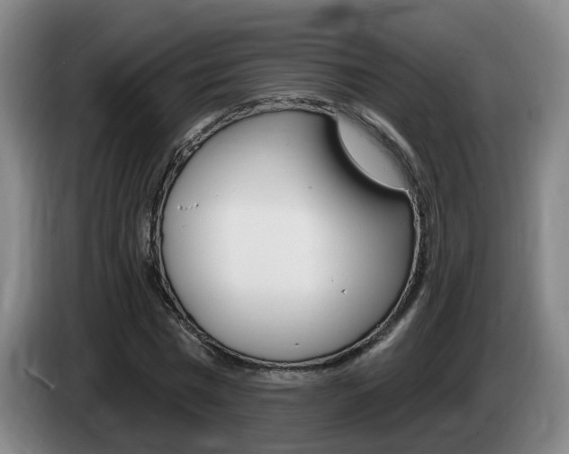 X0000085320777200703091114