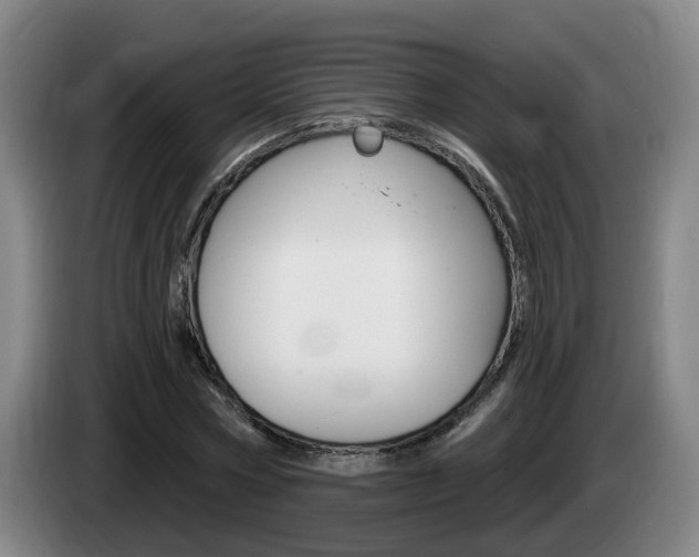 X0000085320778200703091114