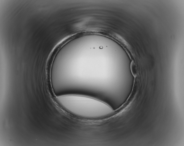 X0000085320779200703091114
