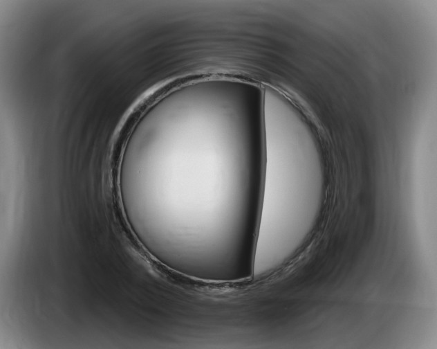 X0000085320784200703091114