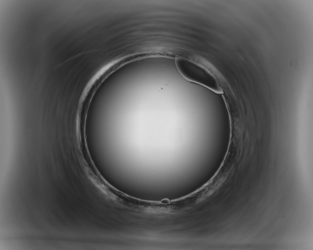X0000085320788200703091114
