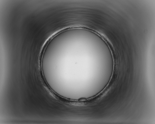 X0000085320789200703091114