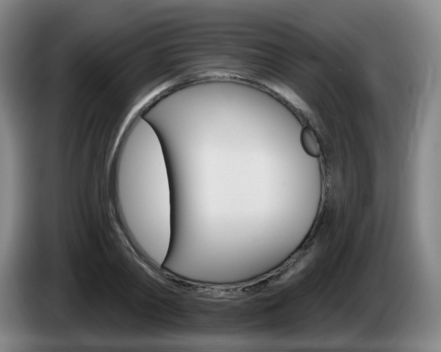 X0000085320790200703091114