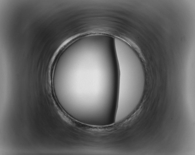 X0000085320792200703091114