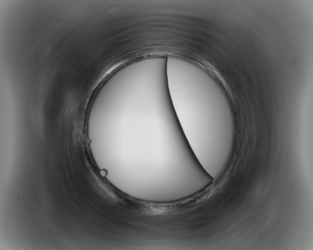 X0000085320794200703091114