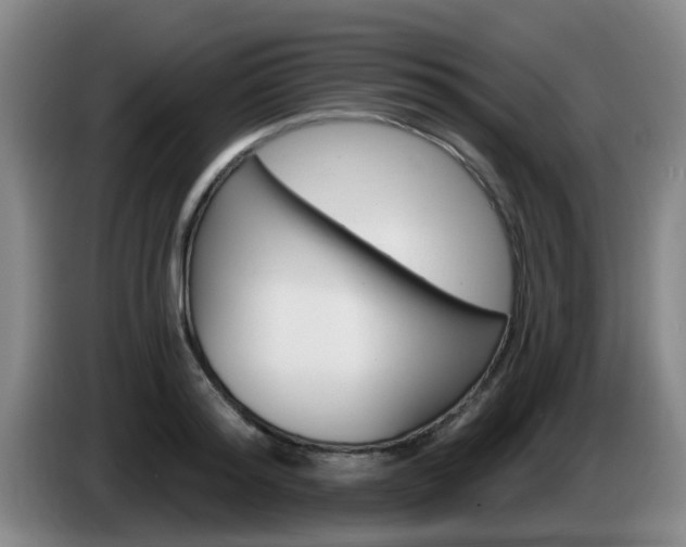 X0000085320796200703091114