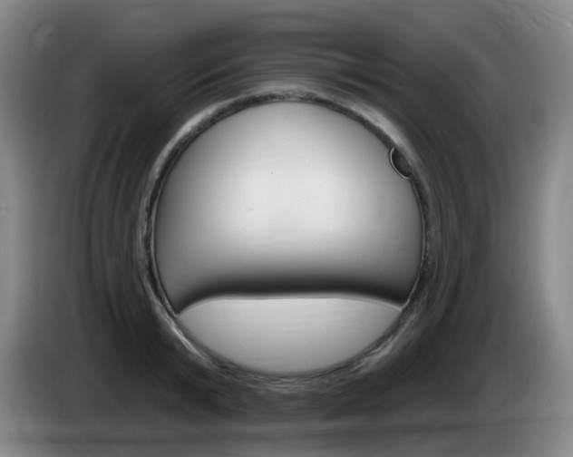 X0000085320799200703091114