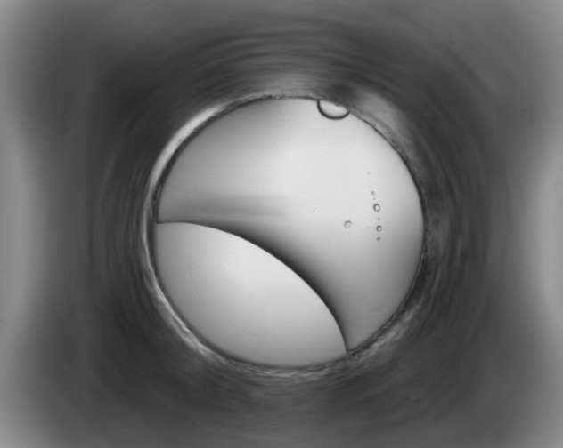 X0000085320804200703091114