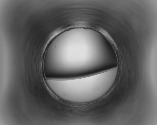 X0000085320805200703091114