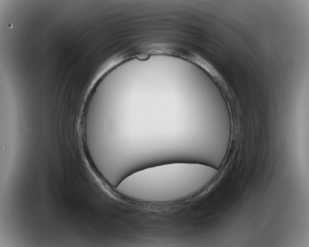 X0000085320806200703091114
