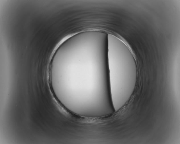 X0000085320811200703091113