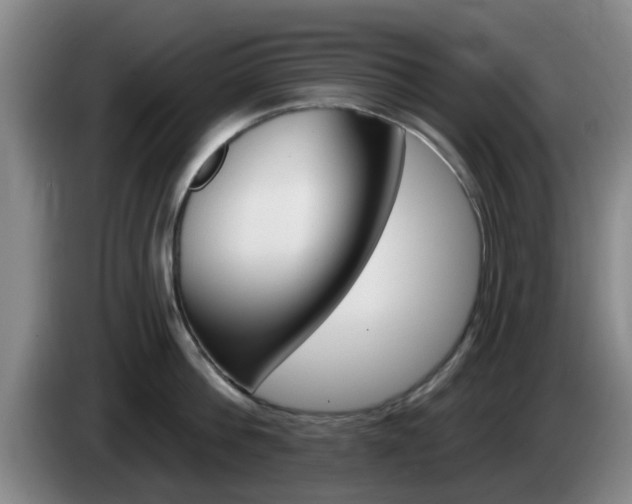 X0000085320812200703091113
