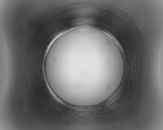 X0000085320813200703091113