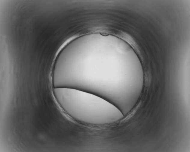 X0000085320814200703091113