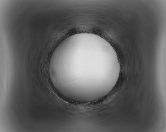 X0000085320817200703091113
