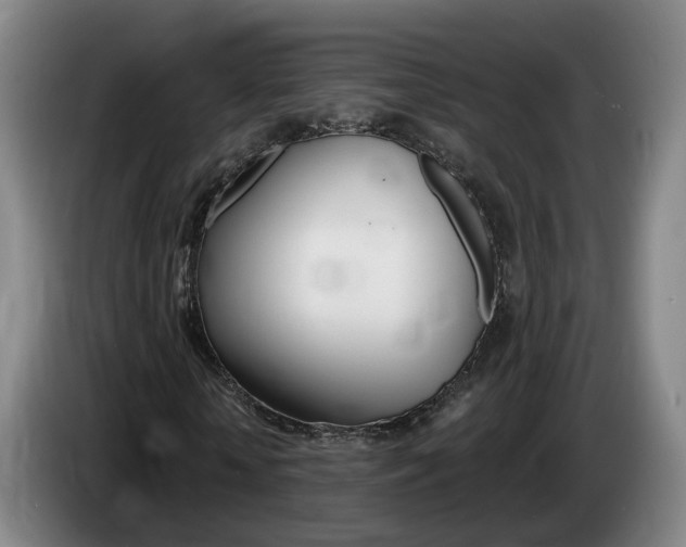X0000085320818200703091113
