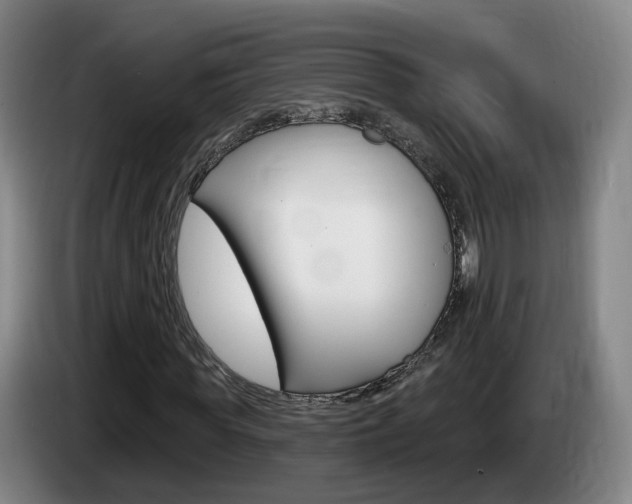 X0000085320819200703091113