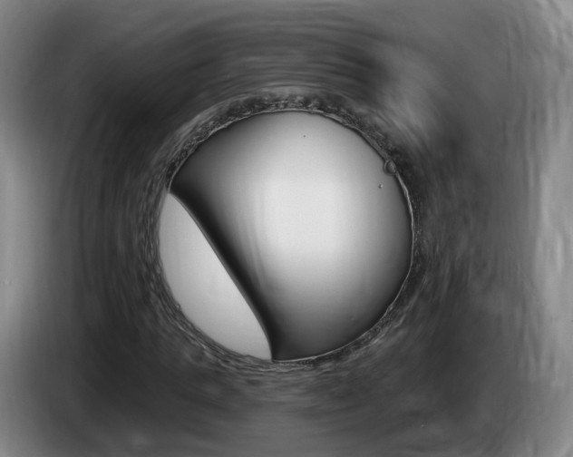 X0000085320821200703091113