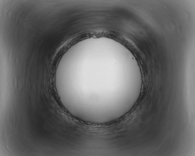 X0000085320823200703091113