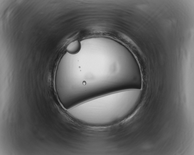 X0000085320825200703091113