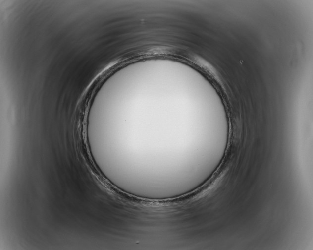 X0000085320827200703091113