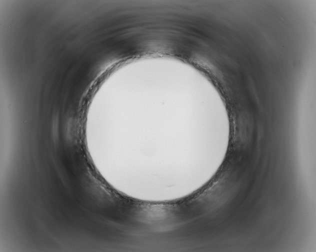X0000085320828200703091113