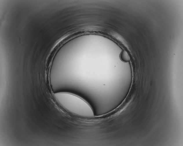 X0000085320829200703091113