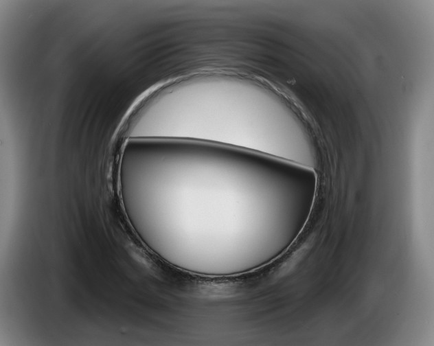 X0000085320830200703091113