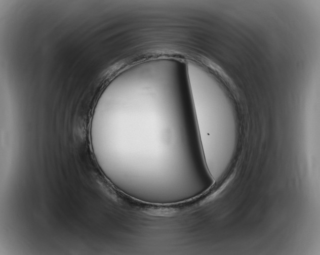 X0000085320833200703091113