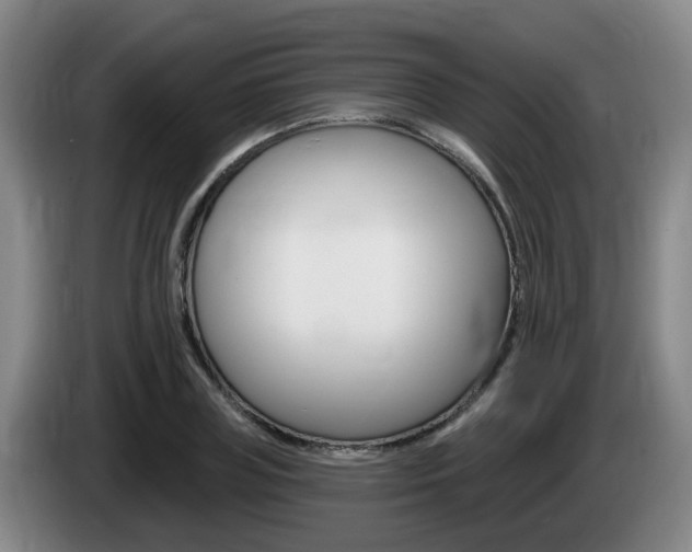 X0000085320835200703091113