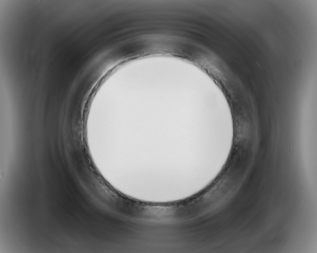 X0000085320836200703091113