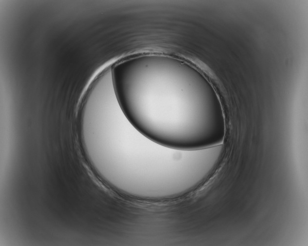 X0000085320838200703091113