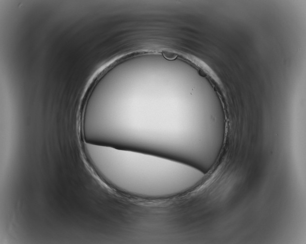 X0000085320839200703091113