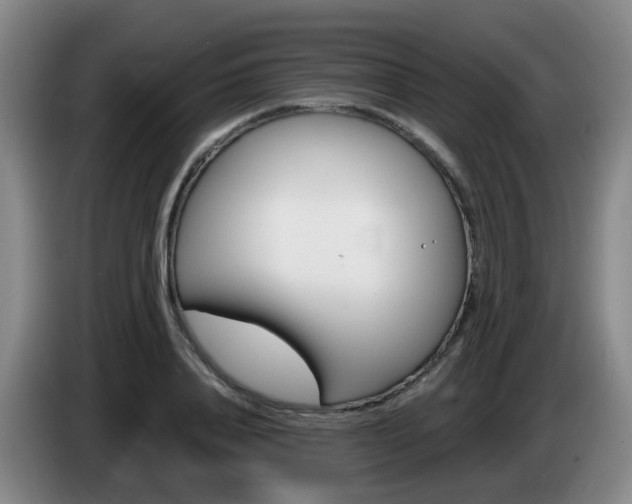 X0000085320840200703091113