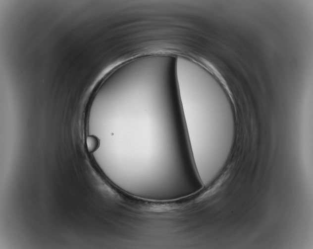 X0000085320843200703091113