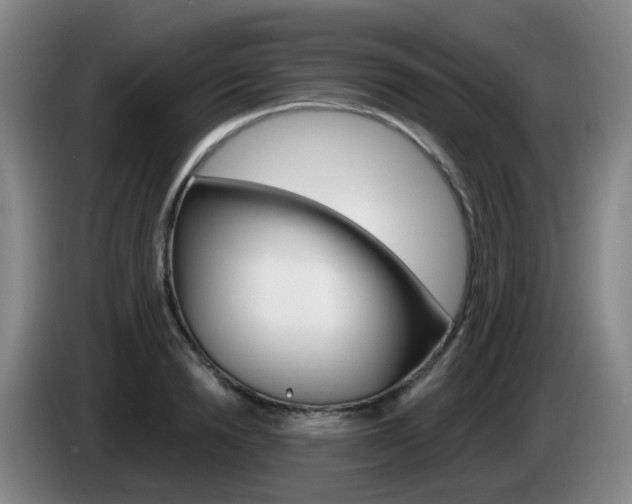 X0000085320846200703091113