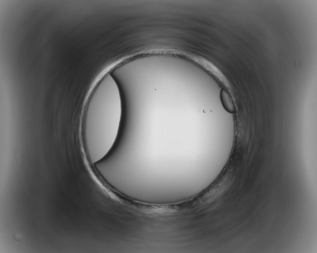 X0000085320847200703091113