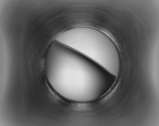 X0000085320849200703091113
