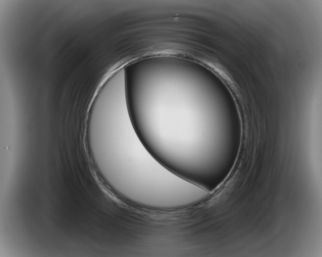 X0000085320850200703091113
