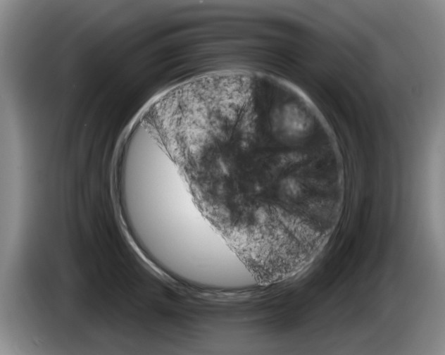 X0000085320851200703091113