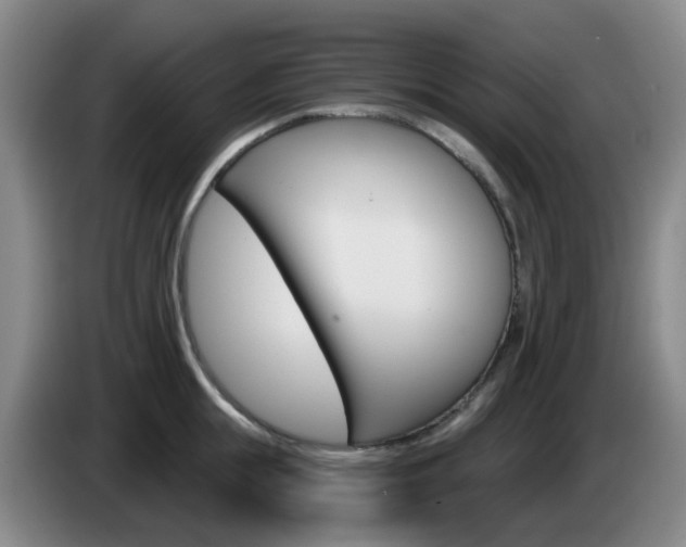 X0000085320855200703091113