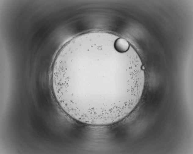 X0000085320856200703091113